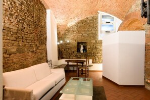 TV, DVD player, books, video library