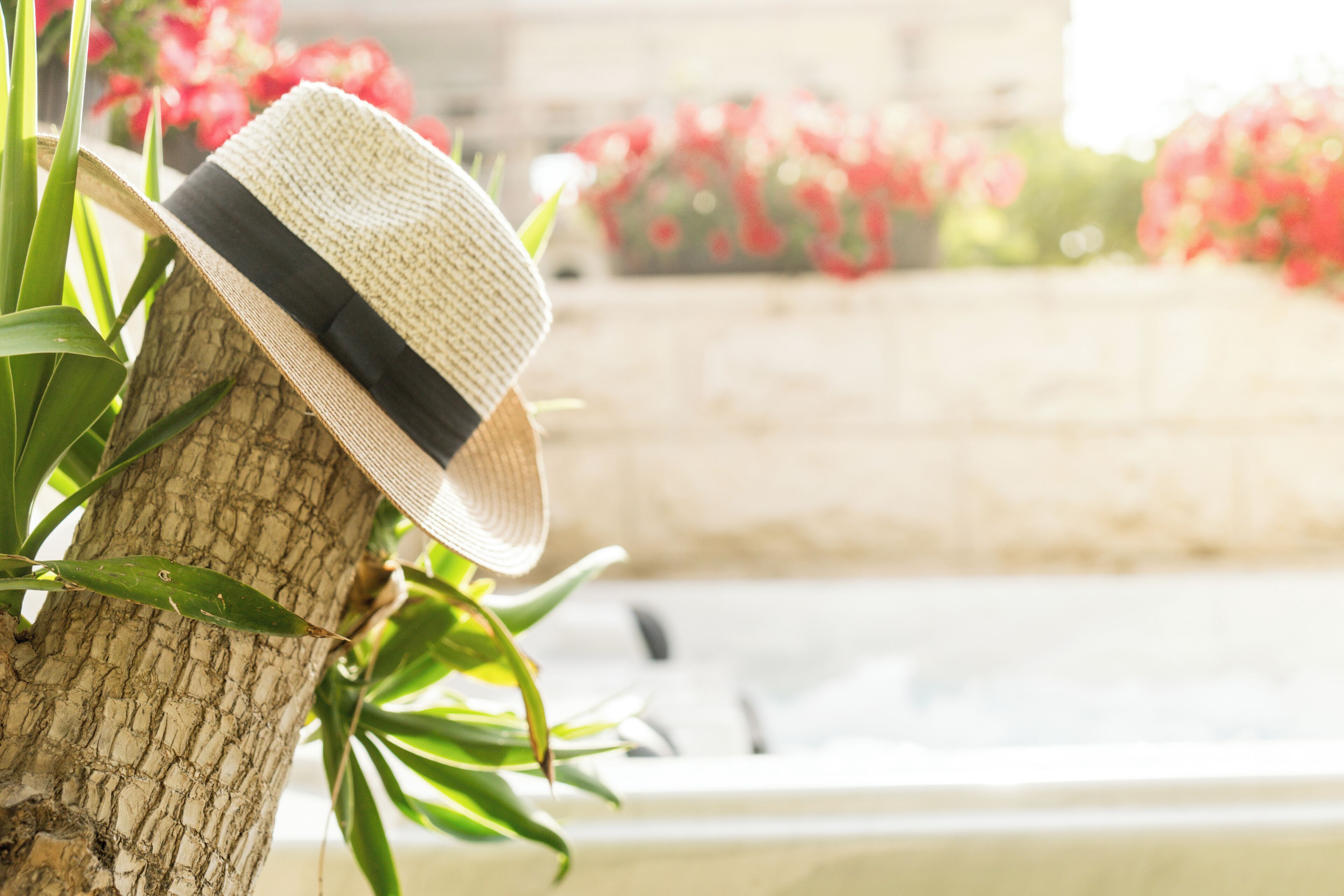 luxury studio suite, 1 king bed with sofa bed | terrace/patio