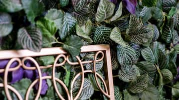 A close-up of a metal fence with ornate designs, surrounded by dense foliage with variegated leaves.