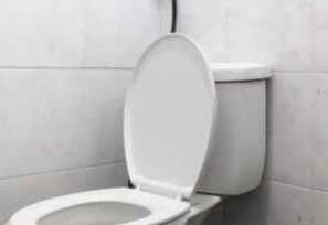 Shower, free toiletries, towels