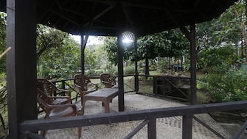 Vườn
