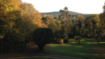 Un parque con un árbol grande, una zona de césped y un sendero.