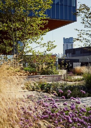 Un edificio moderno con techo inclinado, rodeado de un jardín ajardinado con diversas plantas y flores.