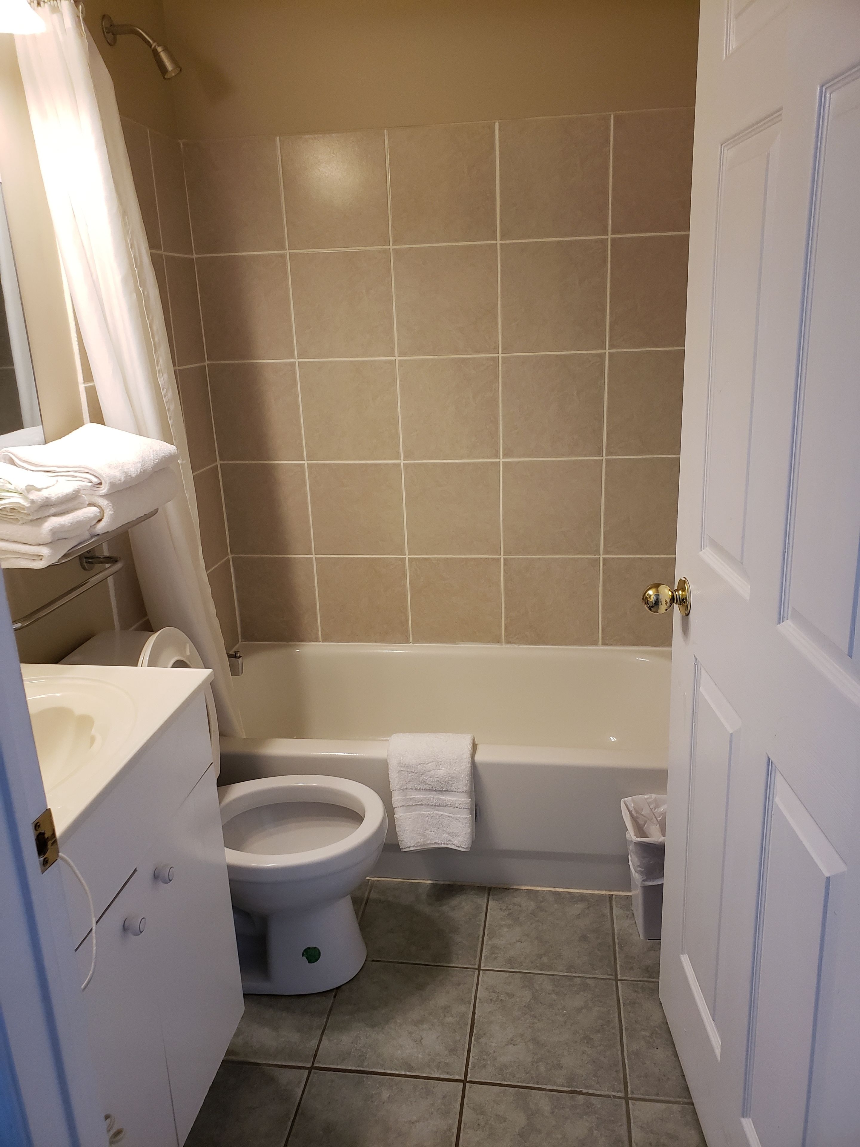 standard suite, 1 queen bed with sofa bed, non smoking | bathroom | free toiletries, hair dryer, towels