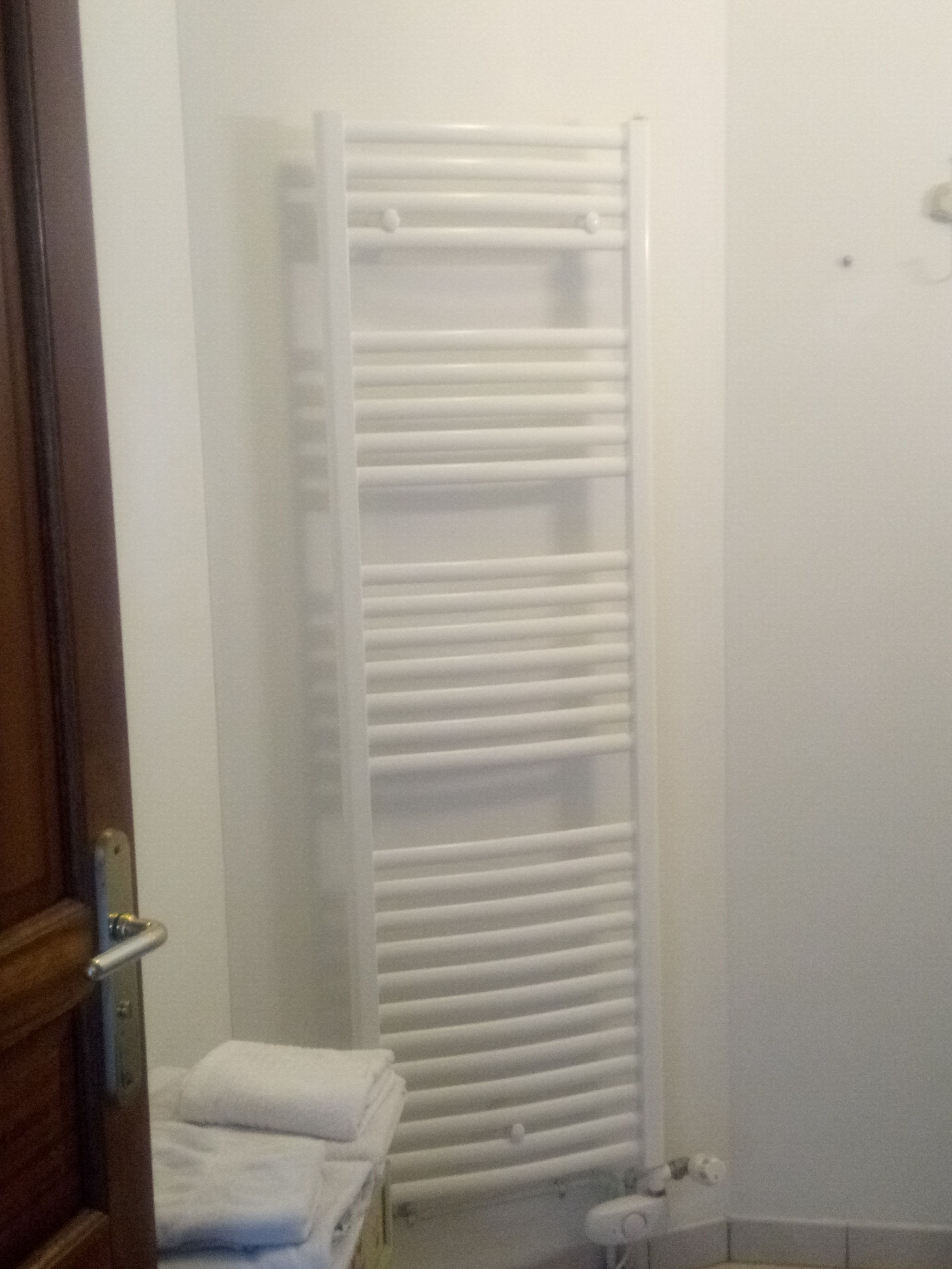 A bathroom with a white towel rack, a wooden door, and a white radiator.