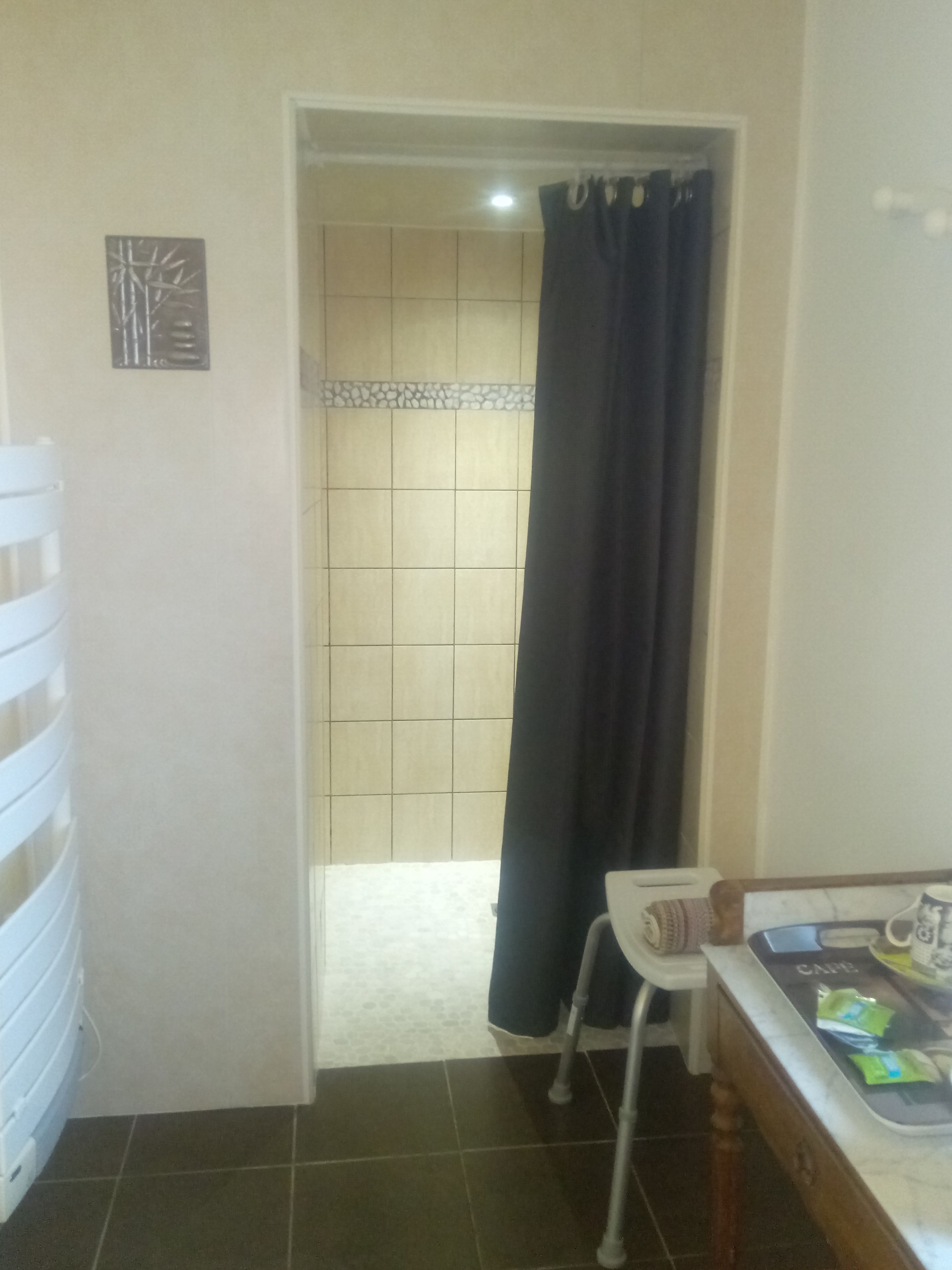 A bathroom with a shower, a toilet, and a sink with toiletries.