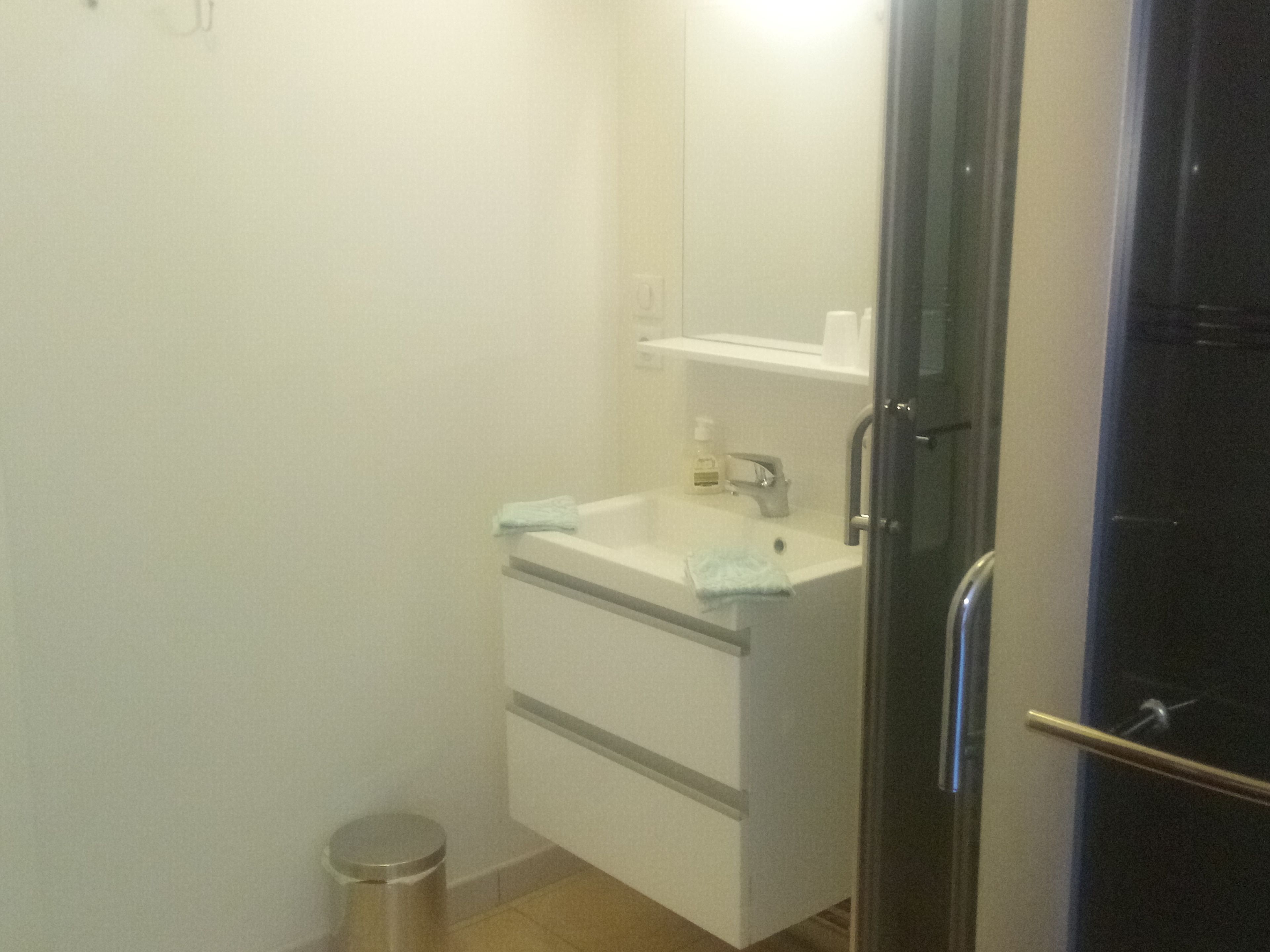 A bathroom with a sink, mirror, and a trash bin.