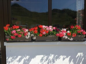 Een raam met bloembakken vol rode en roze bloemen.