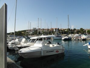 Helicopter/plane tours