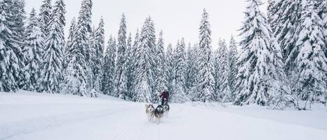 Snø- og skisport