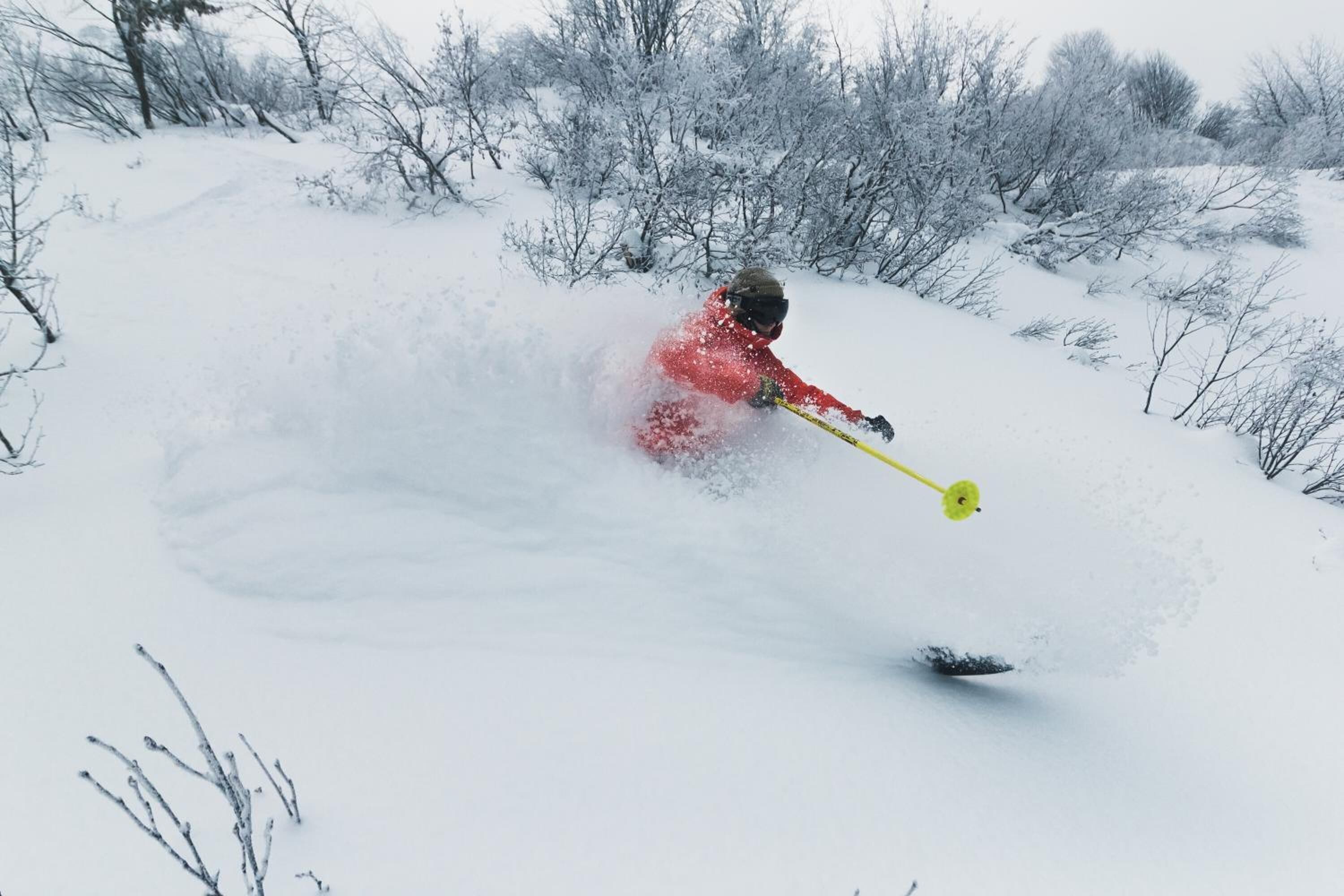 A person skiing down a snowy slope.