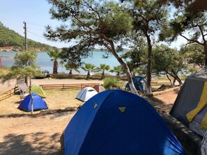 Enceinte de l’hébergement