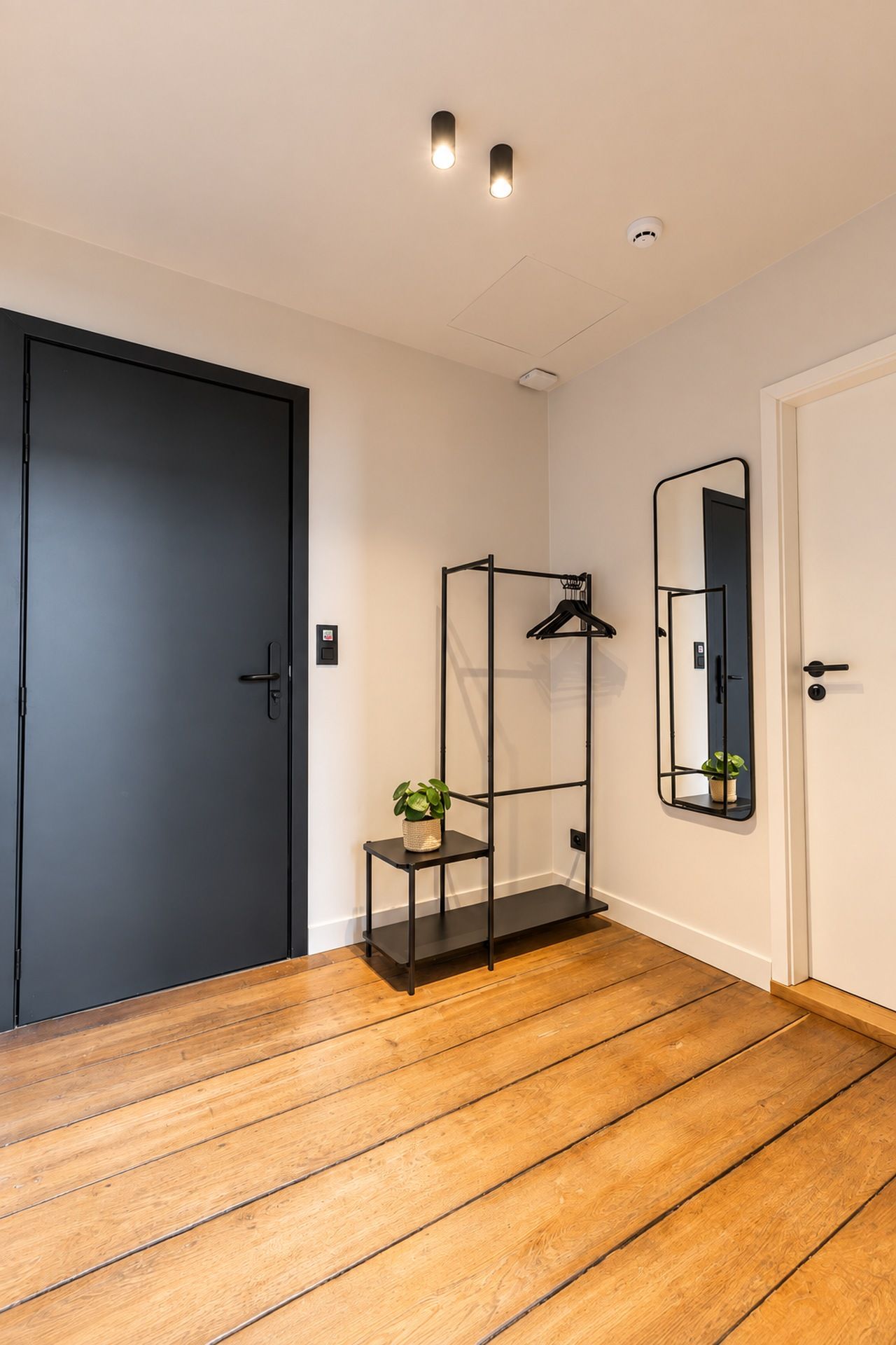 A hallway with a wooden floor, a black door, a metal-framed mirror, and a small table with a plant.