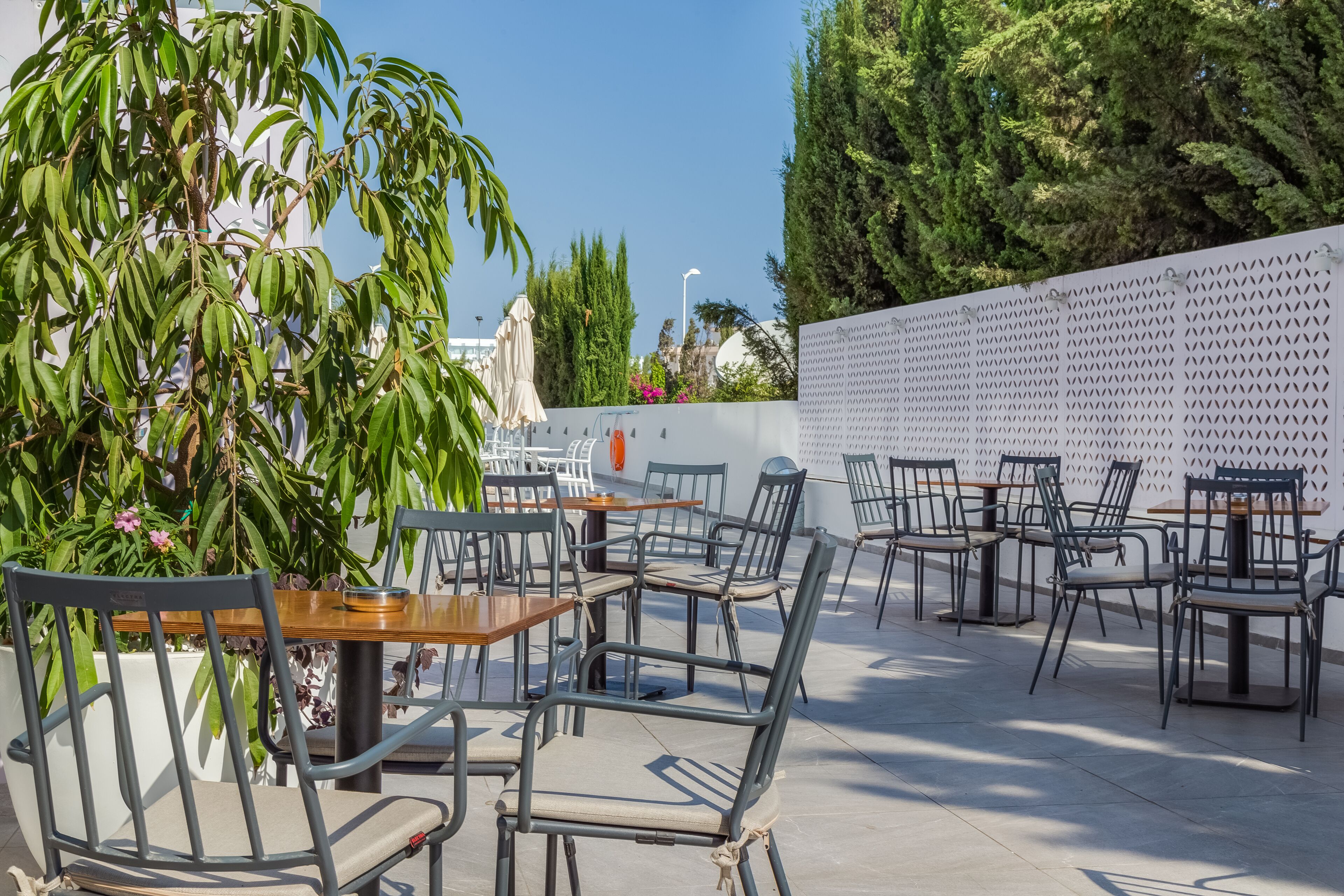 Foto - Protaras Plaza Hotel