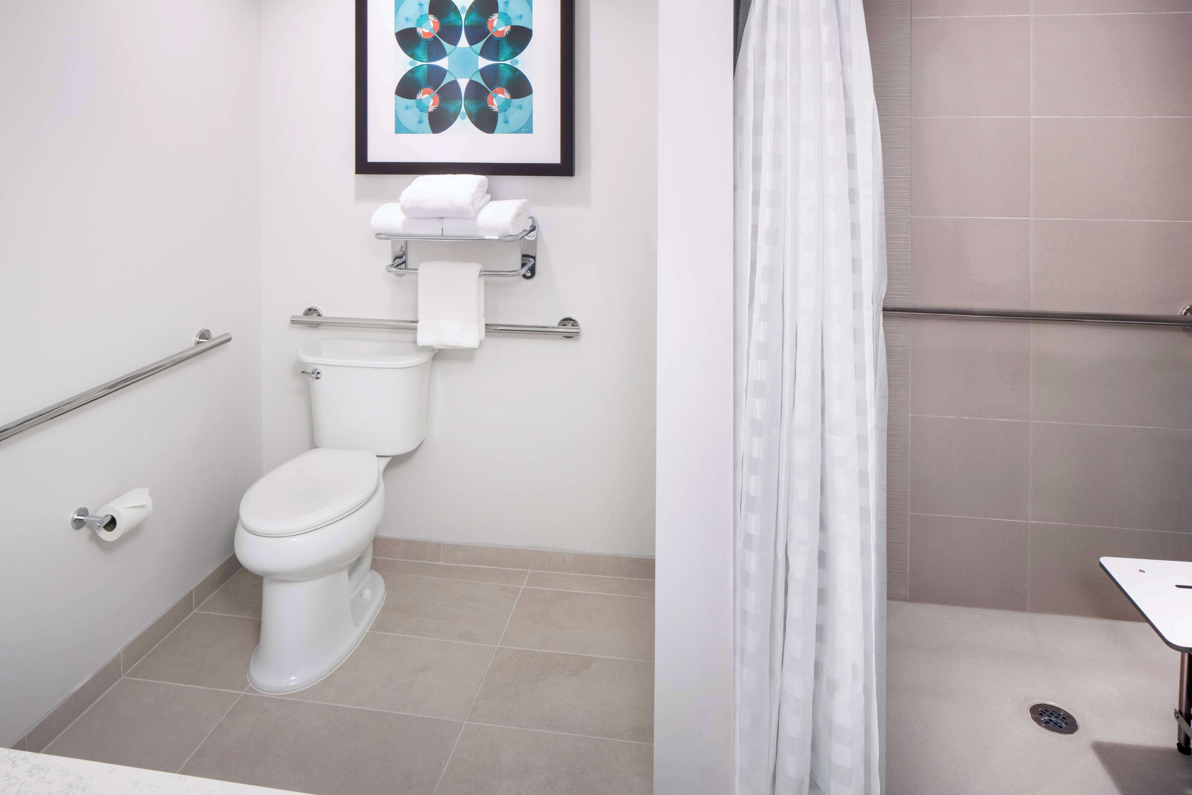 room, 1 king bed, accessible (shower) | bathroom | eco-friendly toiletries, hair dryer, towels