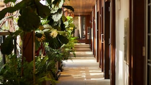 A corridor with wooden ceiling and walls, lined with potted plants and doors leading to rooms. - Lennox Hotel Miami Beach (Miami Beach)