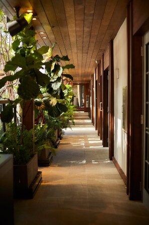 Khuôn viên nơi lưu trú