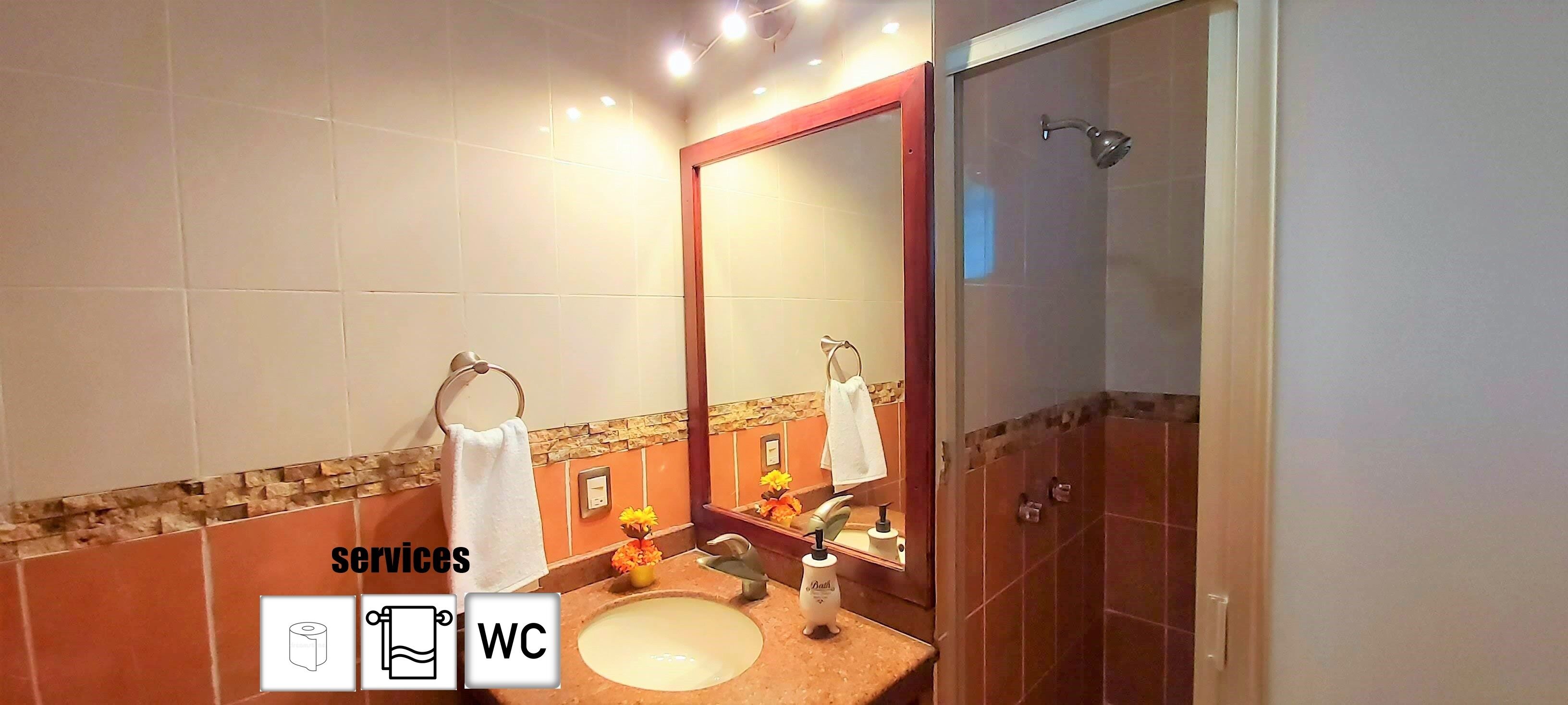 A bathroom with a sink, mirror, and shower. There are towels hanging on hooks and a small vase with flowers on the counter.