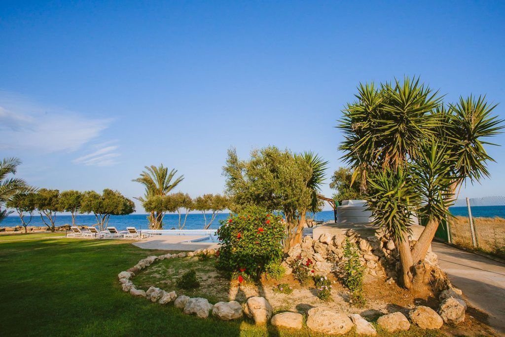 Un jardin aménagé avec une piscine, des palmiers et une vue sur la mer.