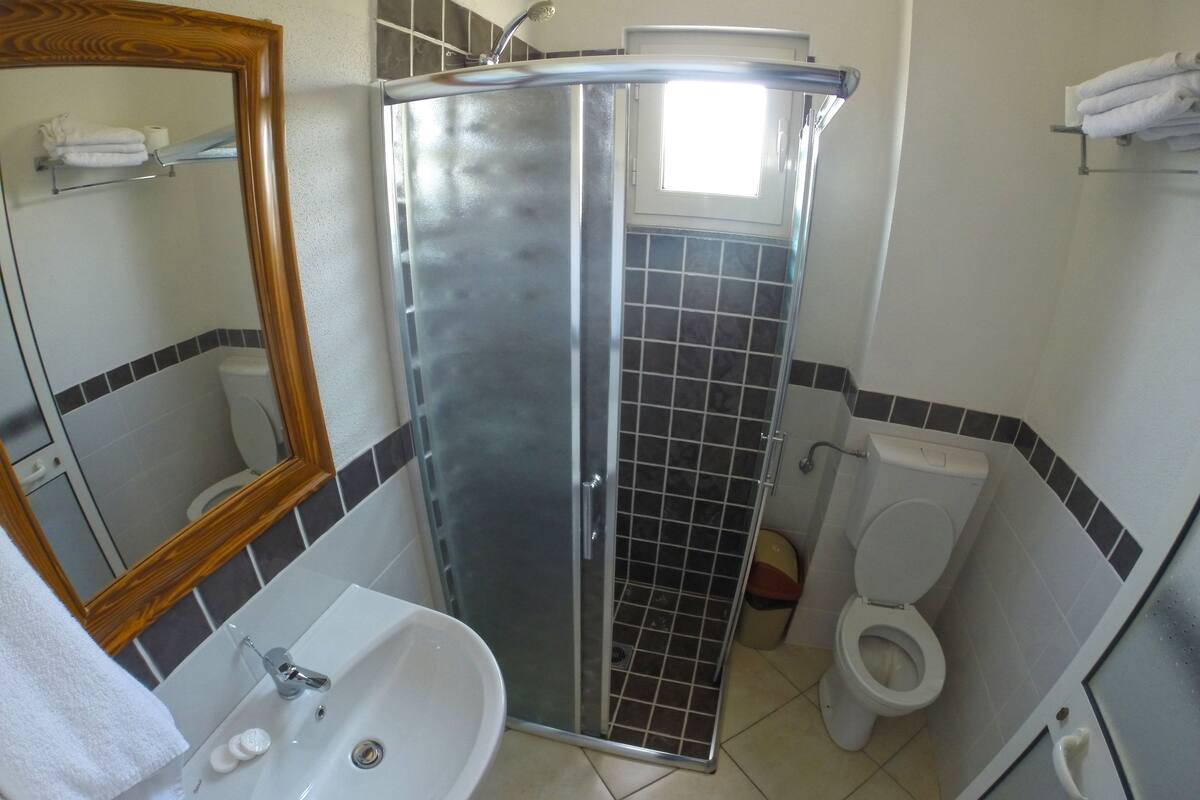 A bathroom with a shower enclosure, a sink, a toilet, and a mirror.