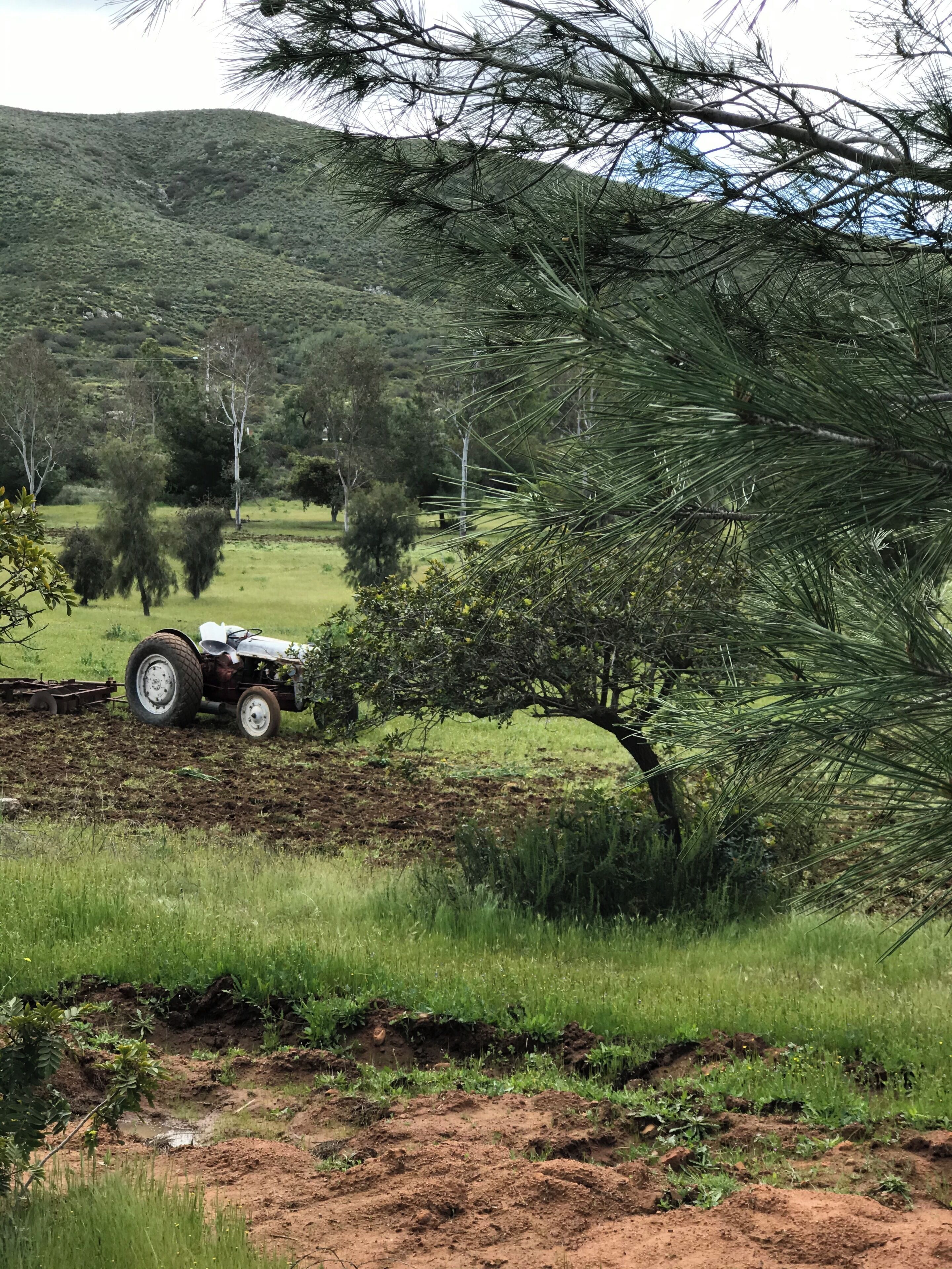 Fyrir utan
