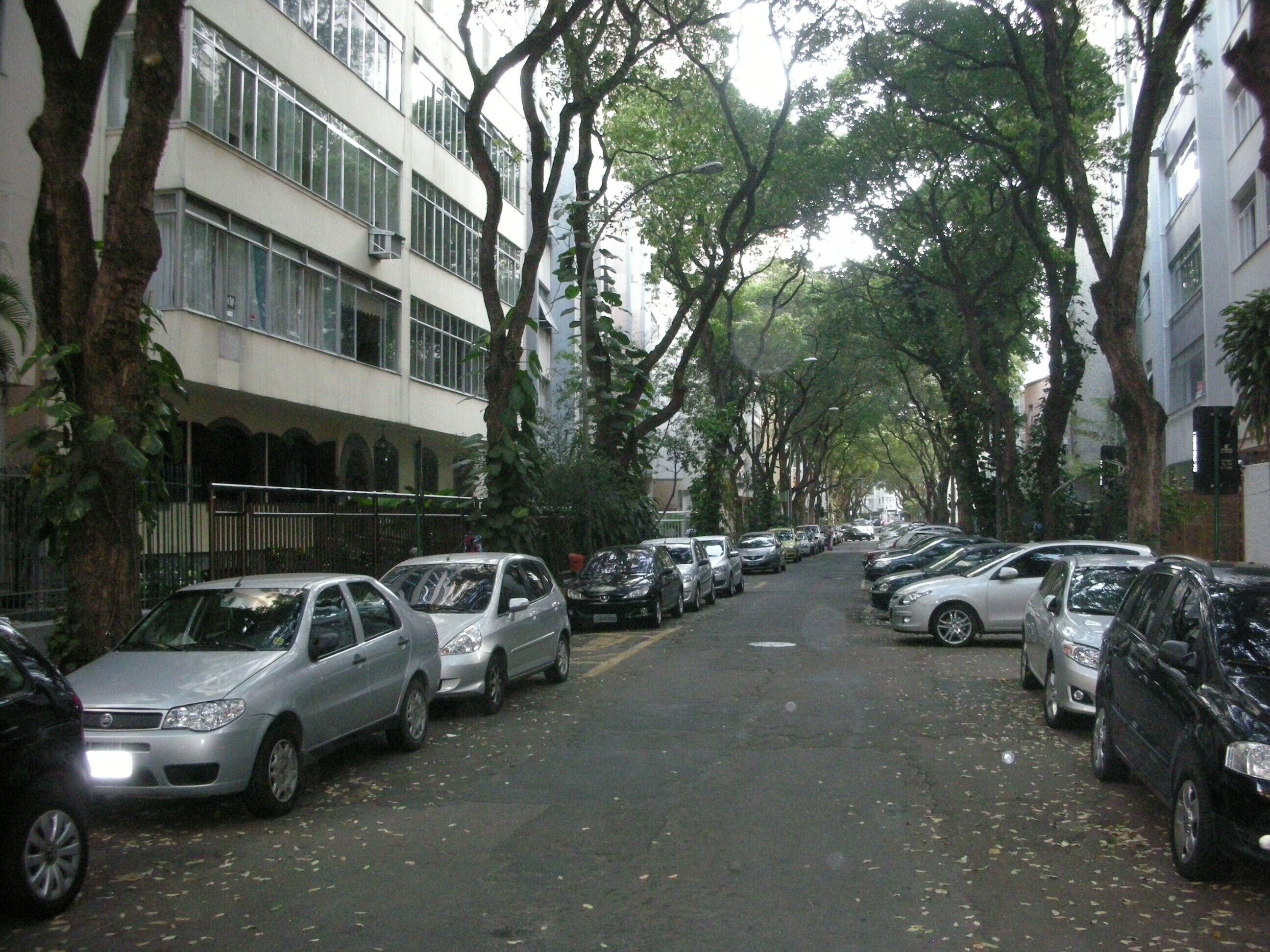 Área da propriedade