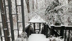 Un pont en bois recouvert de neige qui mène à un belvédère situé dans une forêt.