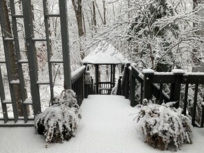 Property grounds - Silver Fox Water Front SsMook Lux Pocono Home, HOT TUB, SAW CREEK FRONT (Bushkill)