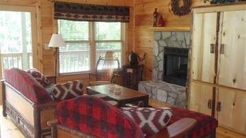 TV connectée, cheminée, lecteur de DVD, livres