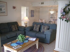 Televisio, videopelejä, DVD-soitin, kirjoja