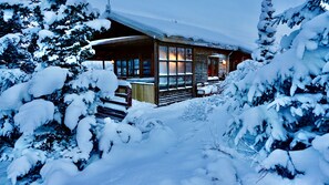 Exterior - Luxury House with a Cozy Guesthouse + Hot Tub close to Snæfellsnes National Park (Borgarnes)