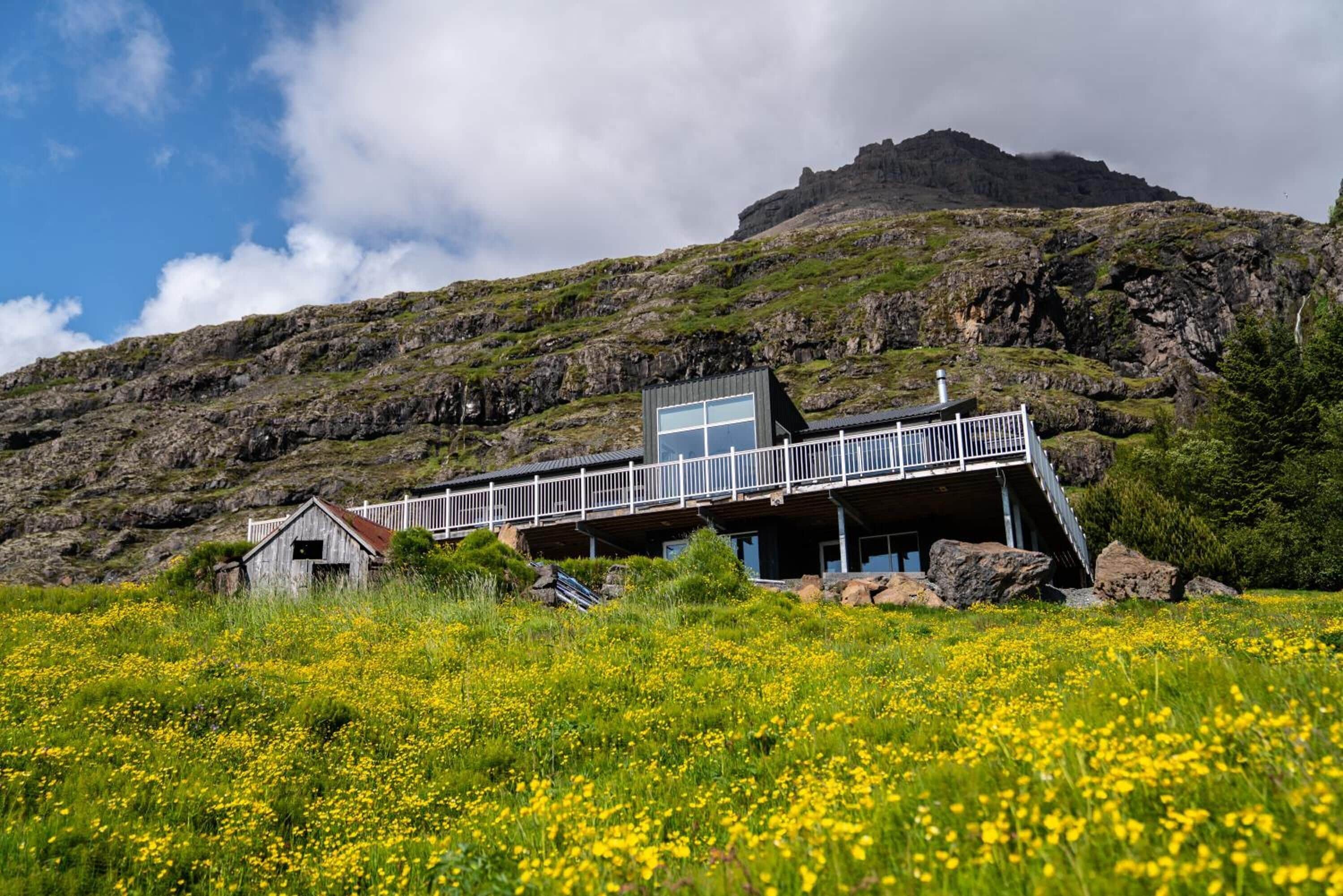 A modern building with a balcony overlooking a field of yellow flowers, set against a mountainous backdrop.