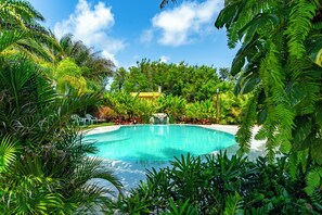 Una piscina al aire libre, sombrillas, sillones reclinables de piscina