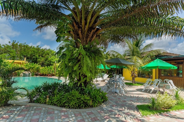 Outdoor pool, open 8:00 AM to 6:00 PM, pool umbrellas, pool loungers