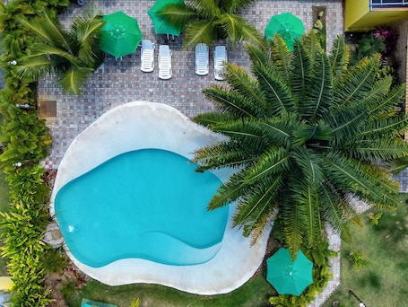 Una piscina al aire libre, sombrillas, sillones reclinables de piscina