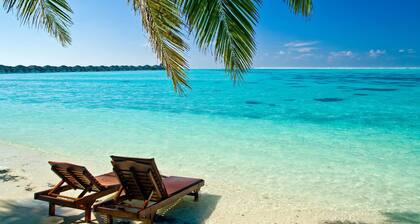 Napolin kuninkaallinen Palm Cottage - Kävele rannalle ja Fifth Ave