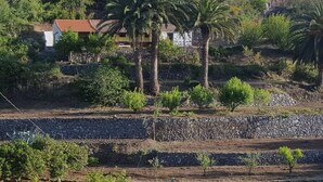 Un paysage rural avec une maison, des palmiers et des champs en terrasses.