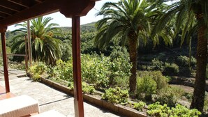 Un espace extérieur abrité offrant une vue sur un jardin agrémenté de palmiers et de diverses plantes.