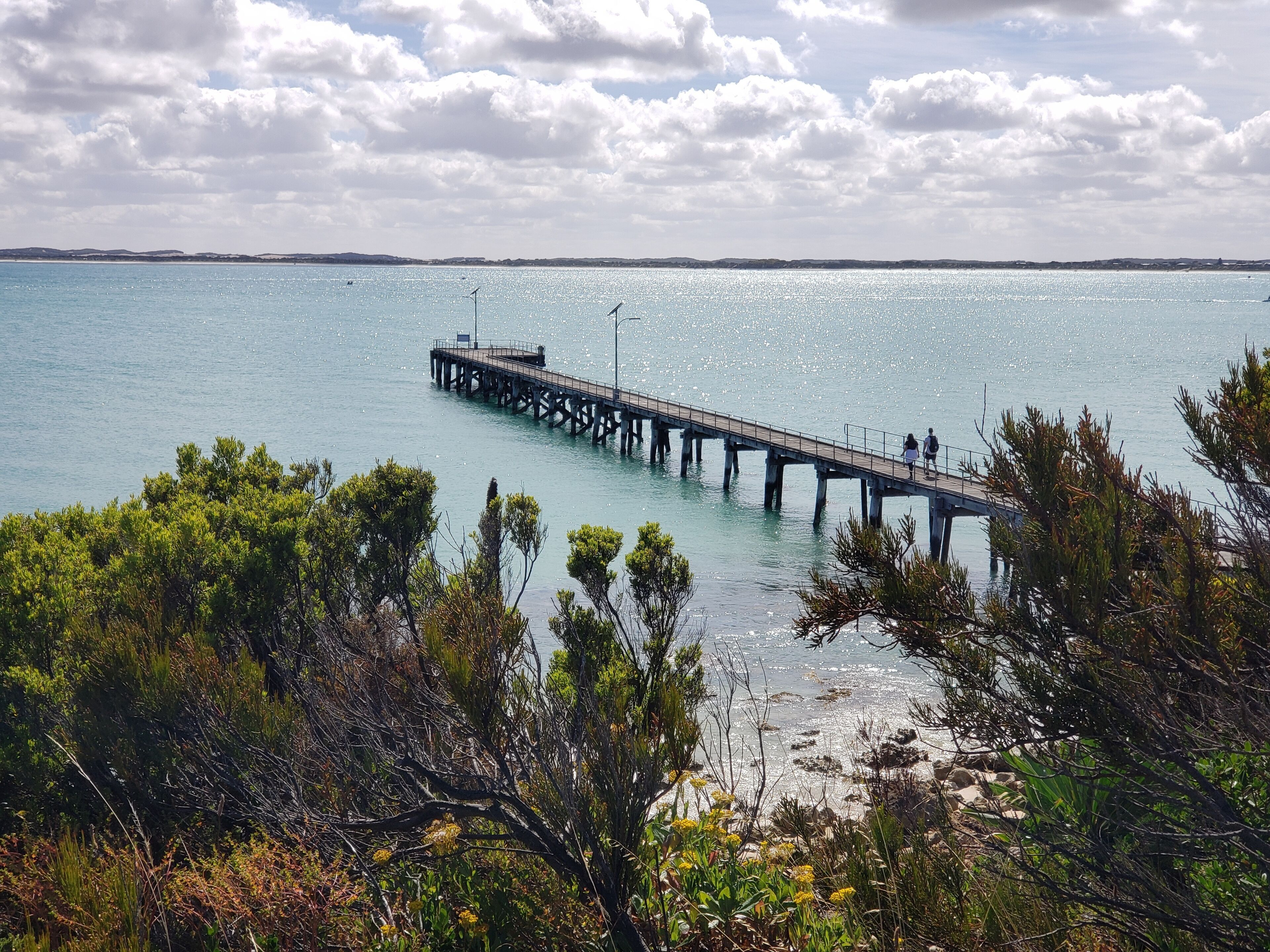 A pier extending into calm waters, surrounded by dense greenery.