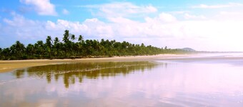 Charmantes Strandhaus mit privatem Pool, Grundstück von 8500m2 von Mata Atlantica