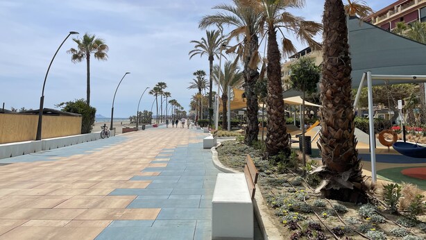 Ein gepflasterter Weg, gesäumt von Palmen und Bänken, der zum Strand führt.
