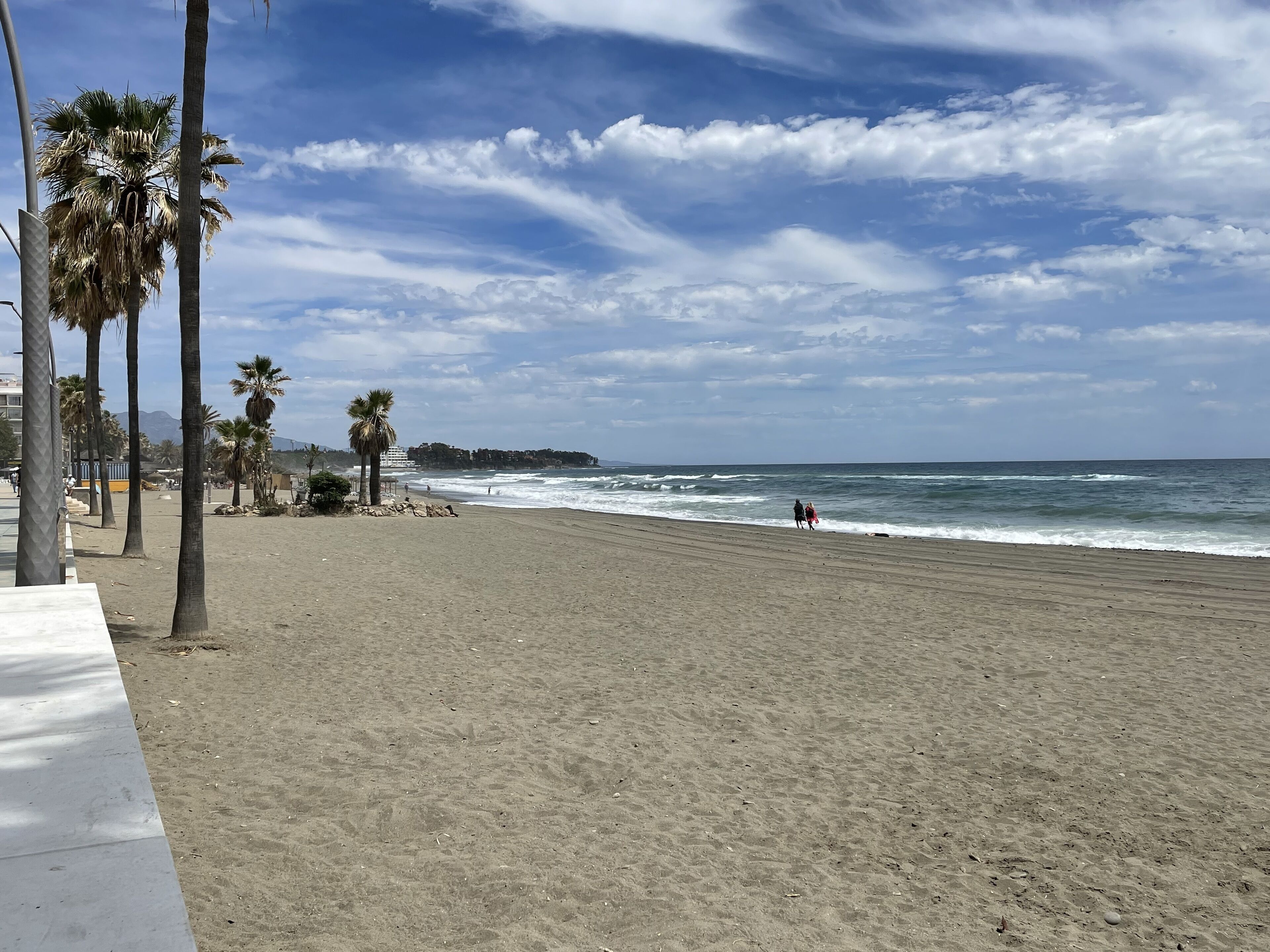 A beach with palm trees, a sandy shore, and a view of the ocean.