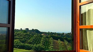 A window with a view of a green landscape and distant buildings.