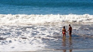 A couple standing in shallow water at the beach, holding hands. - Cozy apartment with sea views, Playa del Cura, Jardin Paraiso  (MOGAN)