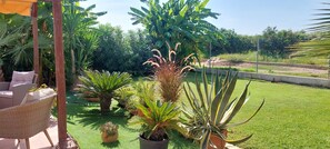 A patio area with outdoor furniture, a variety of potted plants, and a well-maintained lawn. - CA EMMA. Charming country house in quiet location close to all amenities. (Mahuella y Taulaella)