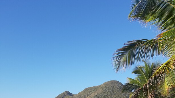 A beach with footprints, palm trees, and a mountain in the background.