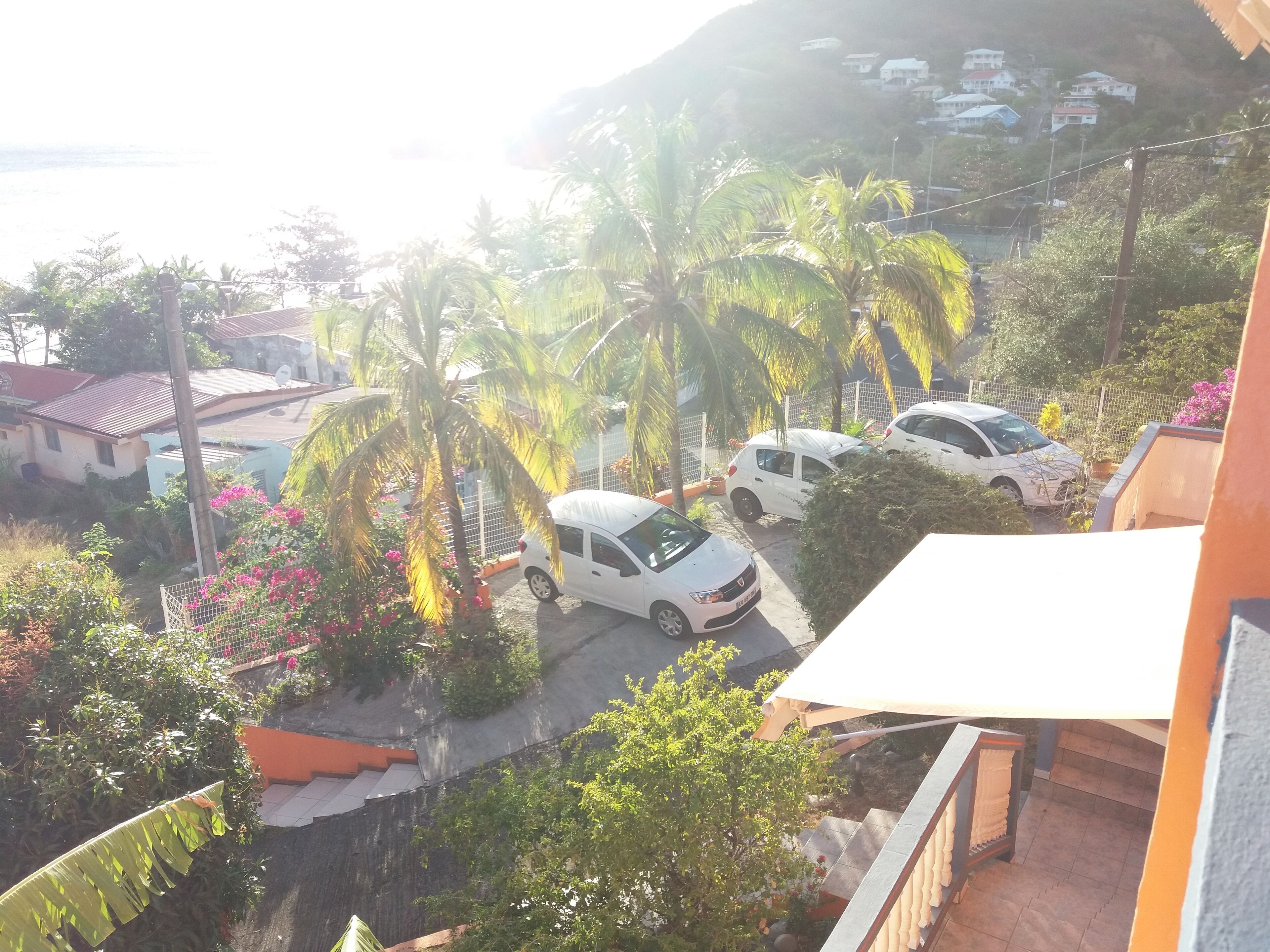 A residential area with parked cars, palm trees, and houses with red roofs.