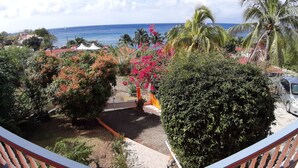 A view from a balcony overlooking a garden with tropical plants and a clear view of the ocean.