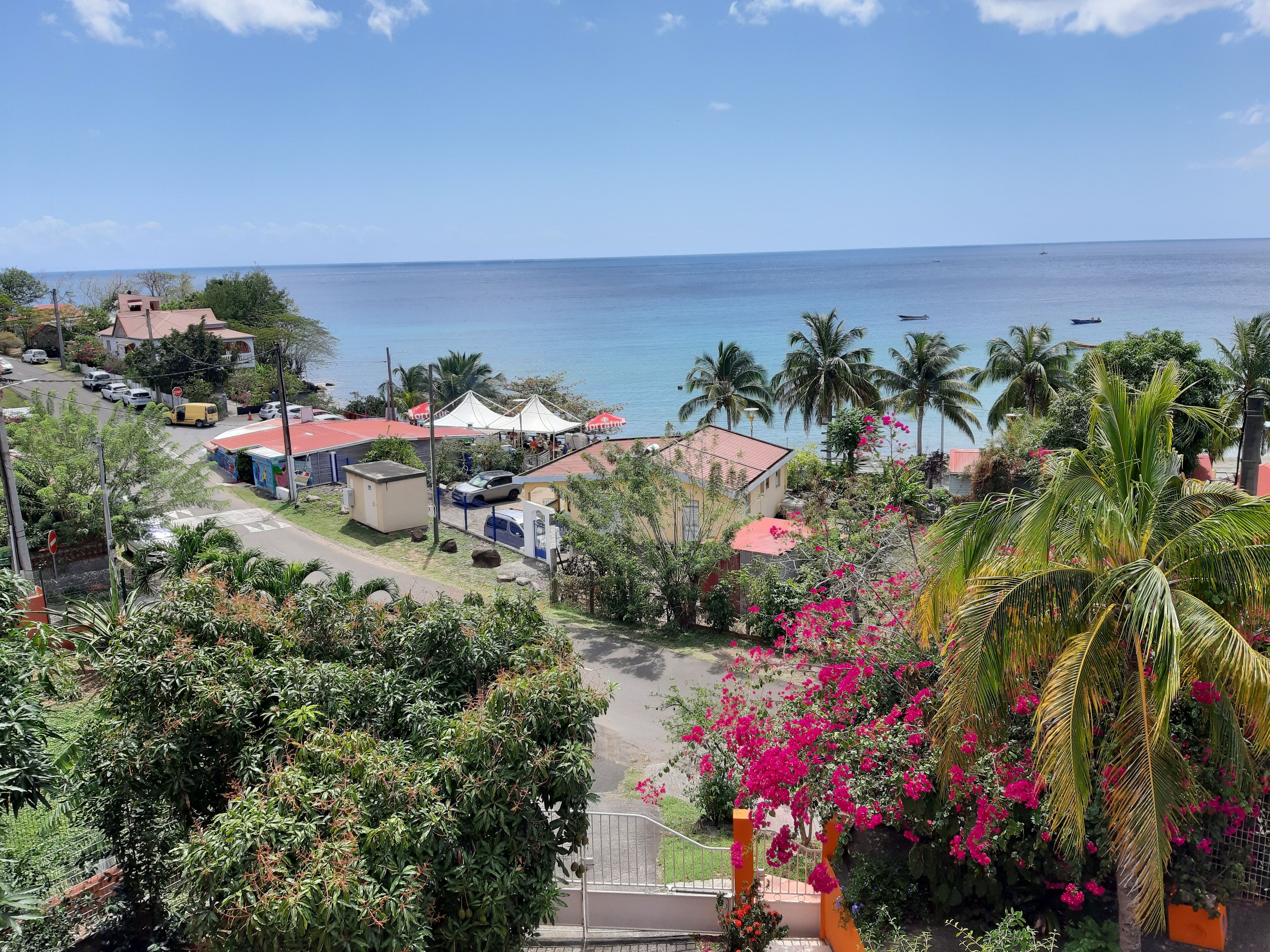 A coastal town with a view of the sea, featuring houses, a road, and lush greenery.
