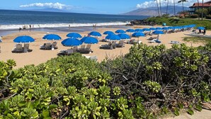 Une plage bordée de rangées de parasols bleus et de chaises longues, avec une vue sur l’océan et les montagnes en arrière-plan.